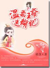 温柔王爷迷煳妃