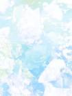 喜欢抢我机缘渡劫吗？那我摇天劫了哦
