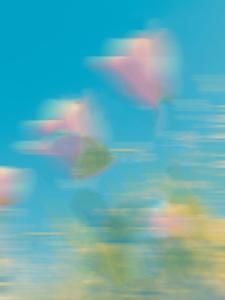 室友诬蔑我偷窃，可是真品就躺在我家展柜啊