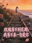 玫瑰等不到花期，我等不来一句爱你